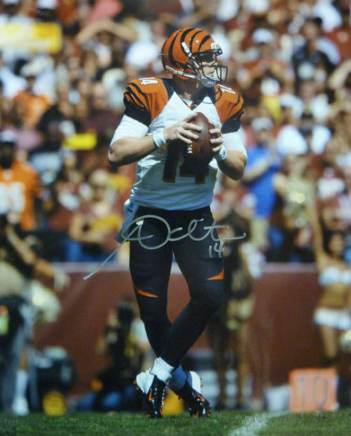 Andy Dalton Autographed/Signed Cincinnati Bengals 16x20 Photo 10958
