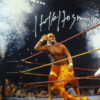 Hulk Hogan Autographed/Signed WWE 16x20 Photo JSA 11639