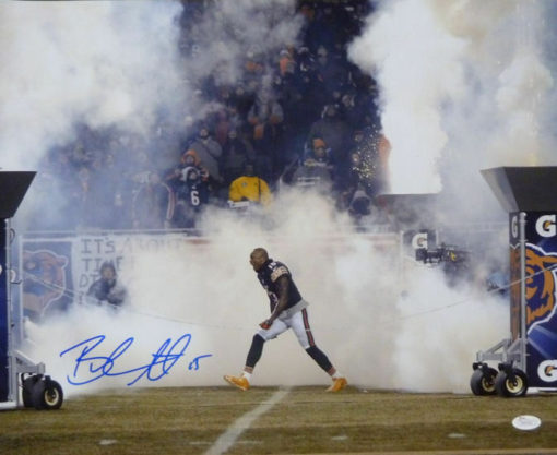 Brandon Marshall Autographed/Signed Chicago Bears 16x20 Photo JSA 12263