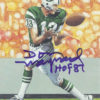 Don Maynard Autographed New York Jets Goal Line Art Card Blue HOF 12307