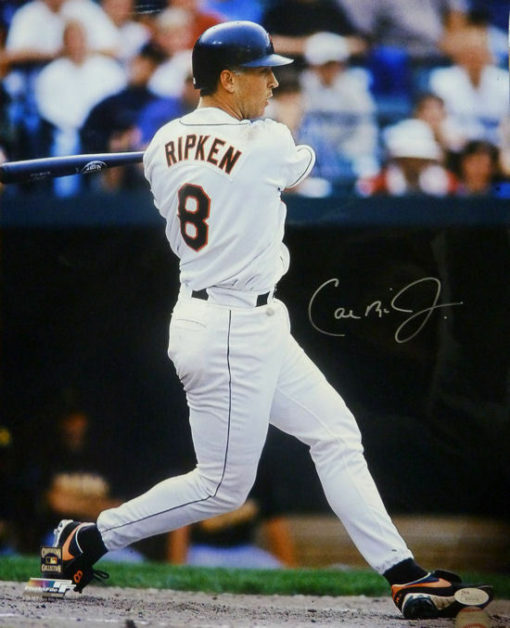 Cal Ripken Jr Autographed/Signed Baltimore Orioles 16x20 Photo JSA 12887