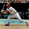 Pete Rose Autographed/Signed Cincinnati Reds 8x10 Photo 12996 PF