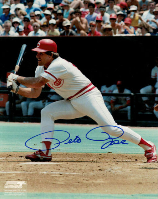 Pete Rose Autographed/Signed Cincinnati Reds 8x10 Photo 12996 PF