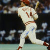 Pete Rose Autographed/Signed Cincinnati Reds 16x20 Photo JSA 12997