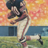 Gale Sayers Autographed/Signed Chicago Bears Goal Line Art Card Blue 13160