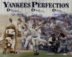 New York Yankees Signed Perfect Game 16x20 Photo Larsen Wells Cone JSA 14018 PF