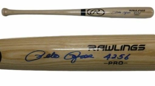 Pete Rose Autographed Cincinnati Reds Big Stick Baseball Bat 4256 JSA 14685