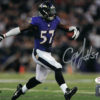 CJ Mosley Autographed/Signed Baltimore Ravens 8x10 Photo JSA 15247