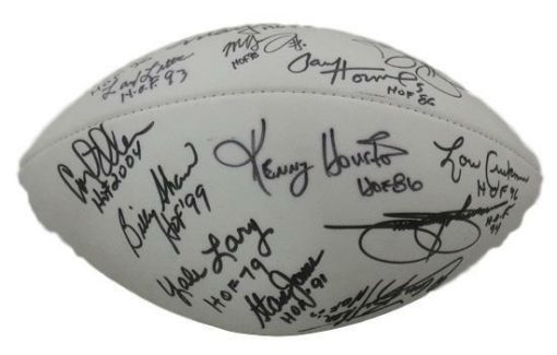 Hall Of Fame Autographed Collectors Edition Logo Football 18 Sigs JSA 15681