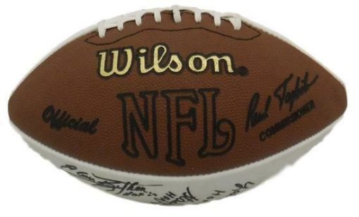 Hall Of Fame Autographed Collectors Edition Logo Football 18 Sigs JSA 15681