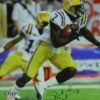 Patrick Peterson Autographed/Signed LSU Tigers 16x20 Photo JSA 16968 PF