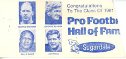 1981 Hall Of Fame Game Ticket Cleveland Browns vs Atlanta Falcons