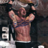 Bill Goldberg Autographed/Signed WWE Wrestling 8x10 Photo Belt JSA 20075