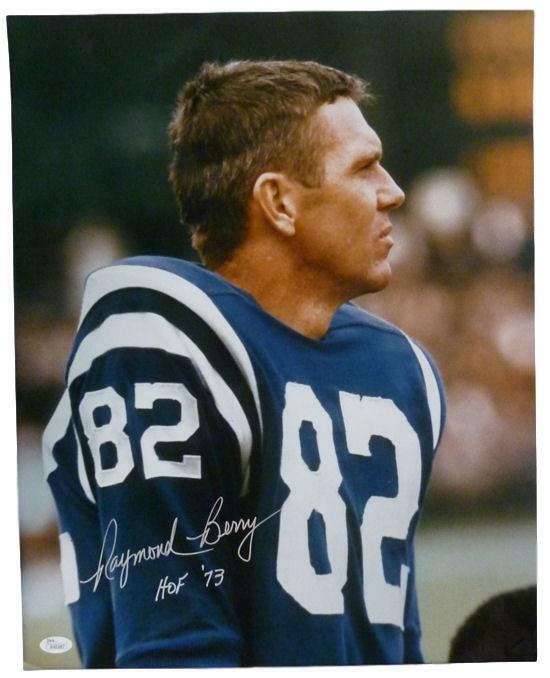 raymond berry baltimore colts