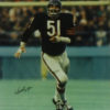 DICK BUTKUS AUTOGRAPHED CHICAGO BEARS 16X20 PHOTO NAME ONLY 20336 JSA K45311