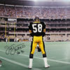 Jack Lambert Autographed/Signed Pittsburgh Steelers 16x20 Photo HOF JSA 21623