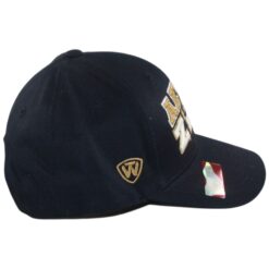 Akron Zips Teamwork Brand Navy Snapback Hat 56029