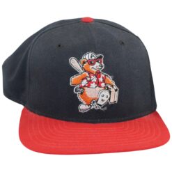 Asheville Tourists Minor League Baseball 1990s Vintage League New Era Hat 56013