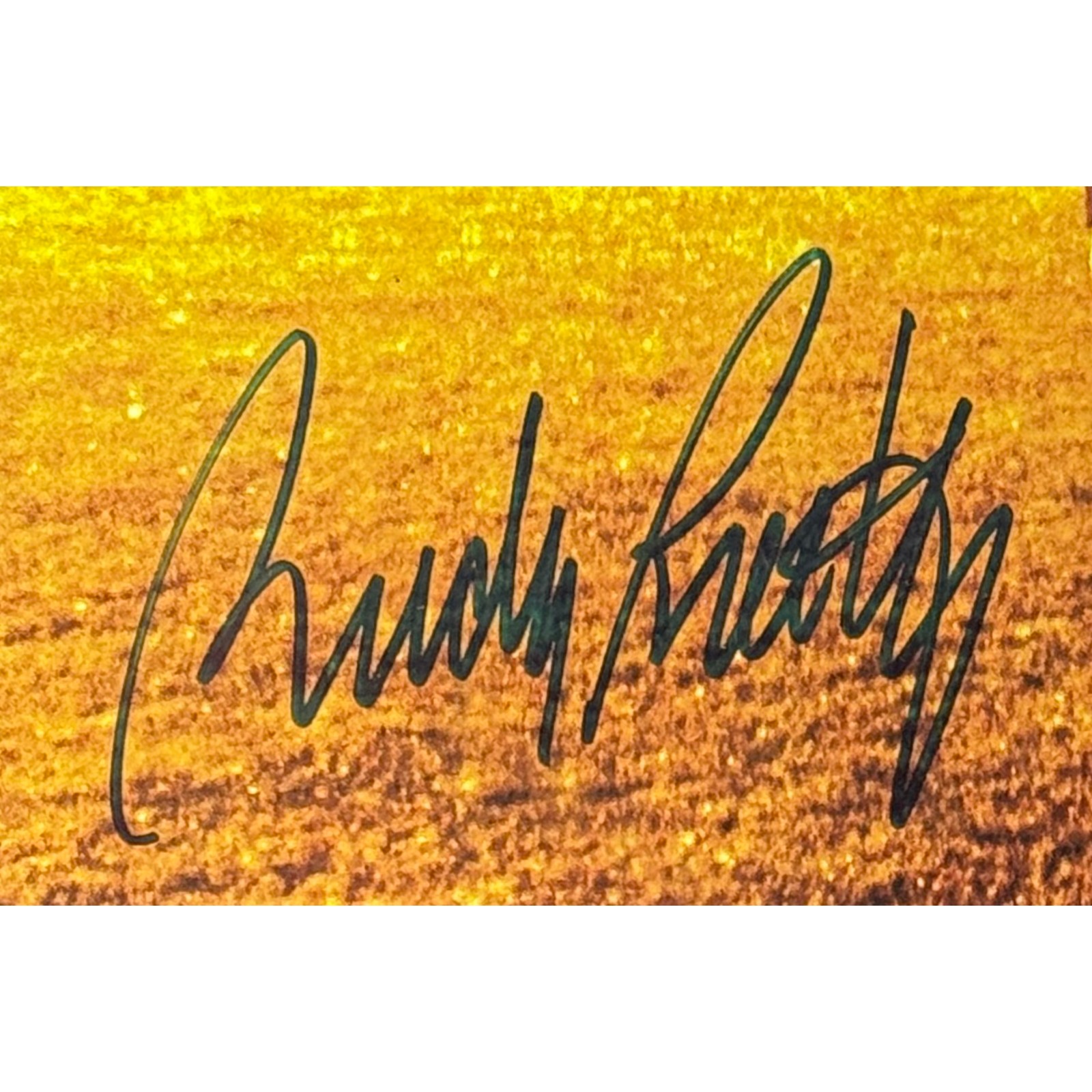 Sean Astin Rudy Ruettiger Signed Rudy Notre Dame 11x17 Photo Beckett W 57957 2 Sean Astin Rudy Ruettiger Signed Rudy Notre Dame 11x17 Photo Beckett W 57957