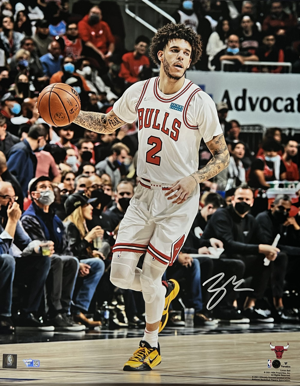 Lonzo Ball Autographed Chicago Bulls 8x10 Photo FAN