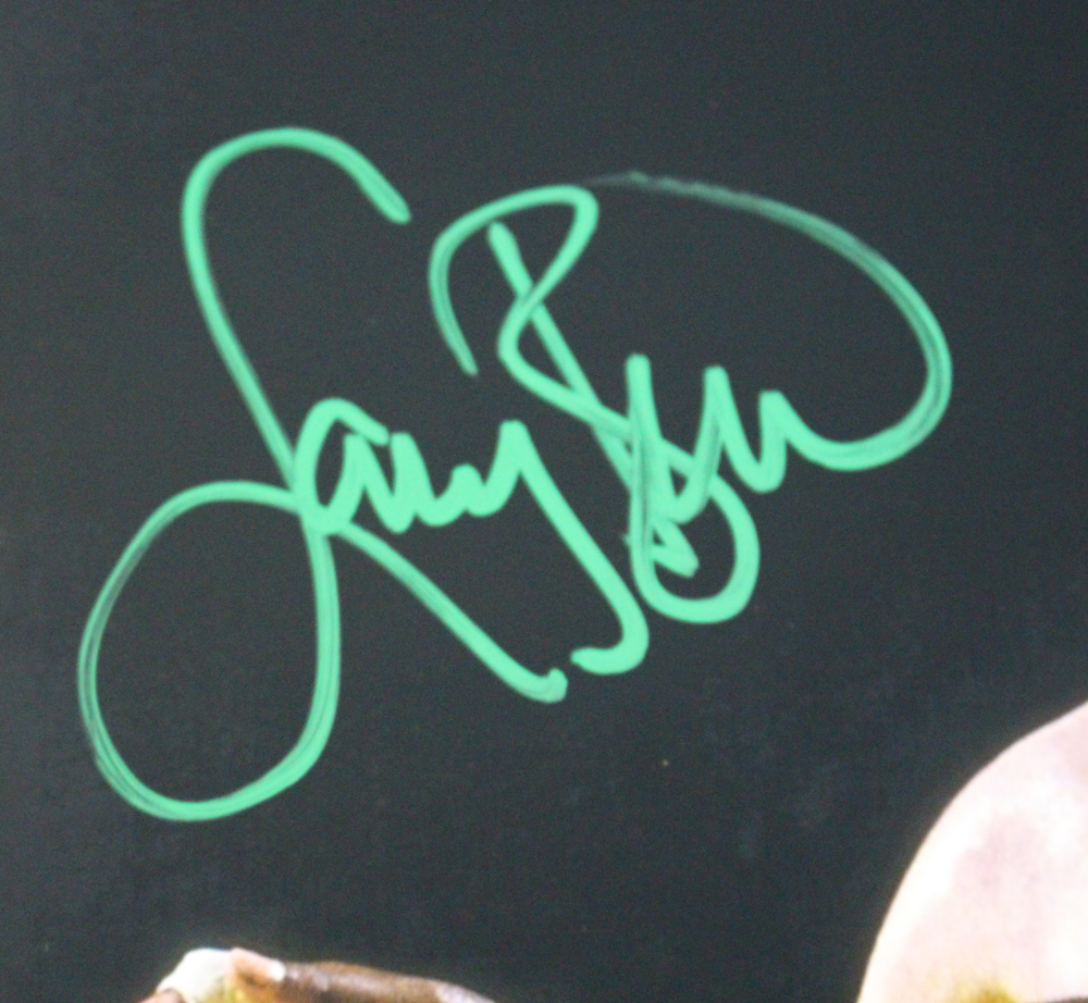 Larry Bird & Magic Johnson Autographed/Signed 16x20 Photo Beckett