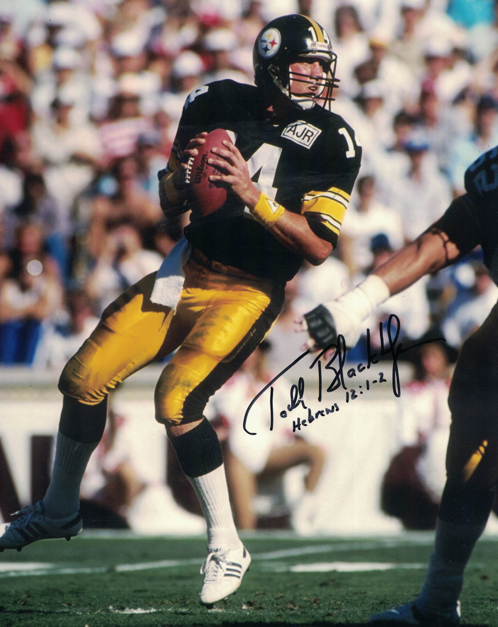 Todd Blackledge Autographed/Signed Pittsburgh Steelers 8x10 Photo 30241