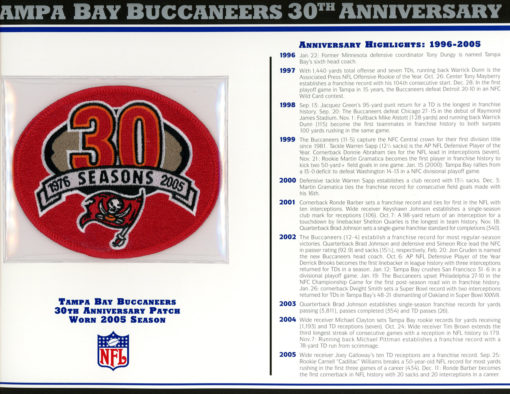 Tampa Bay Buccaneers 30th Anniversary Patch Stat Card Willabee & Ward