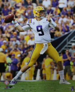 Joe Burrow Unsigned LSU Tigers 16x20 Photo 26685