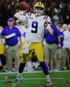 Joe Burrow Unsigned LSU Tigers 16x20 Photo 26687