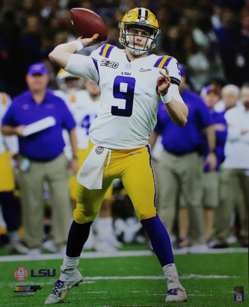 Joe Burrow Unsigned LSU Tigers 16x20 Photo 26687