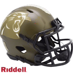 Carolina Panthers Riddell New In Box 2022 Salute to Service Mini Helmet 35124