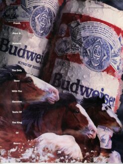 Steve Catuher Signed Arapahoe Park Magazine Horse Racing Program Beckett 55770