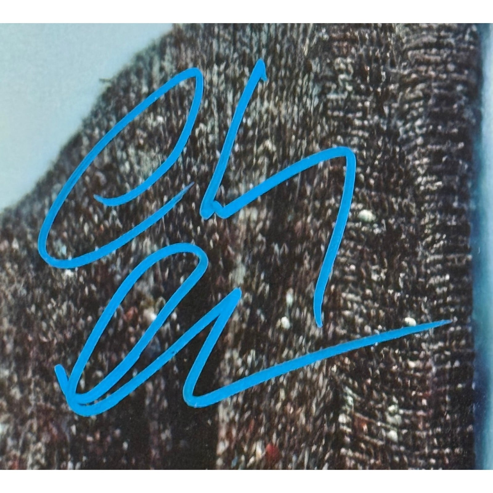 Chevy Chase Autographed 11x14 Photo Christmas Vacation Beckett Witness 58346