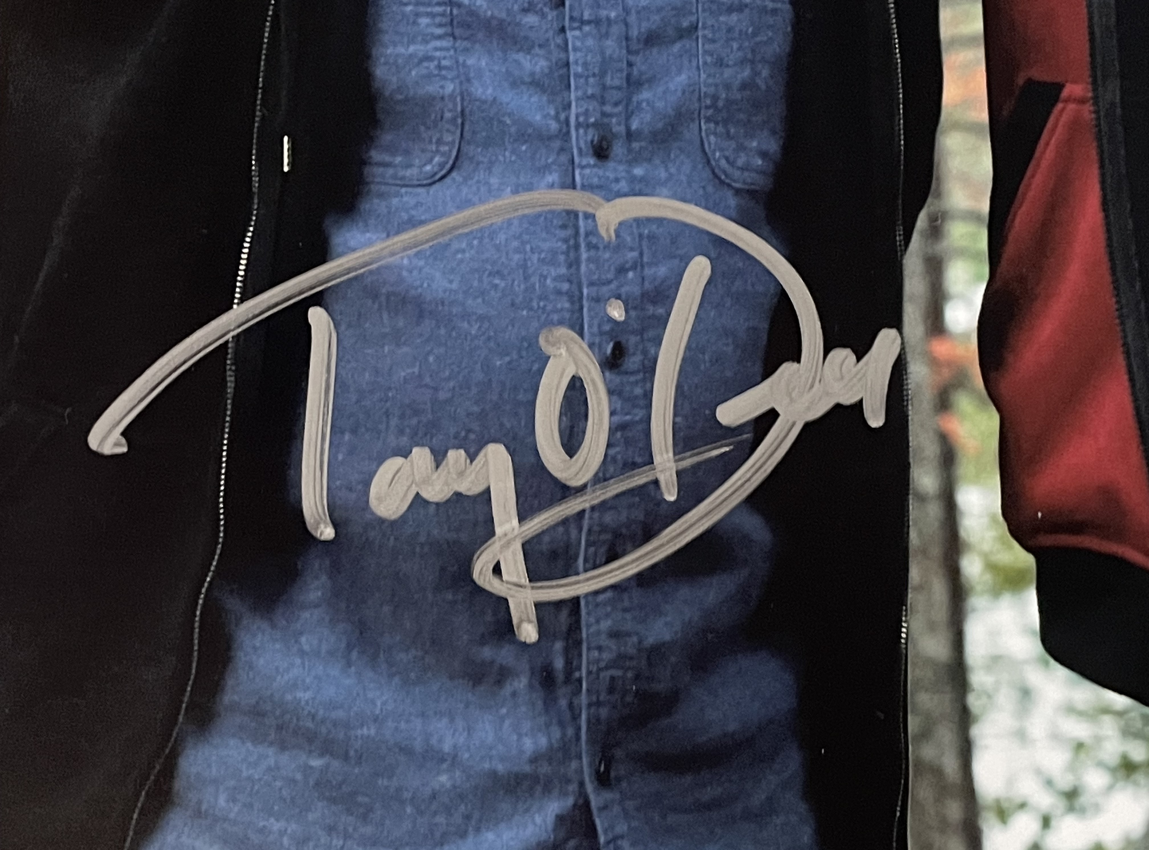 William Zabka Tony O'Dell Ron Thomas Autographed Cobra Kai 11x14 Photo JSA 46999