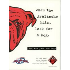 Colorado Avalanche 1995-1996 Inaugural Season vs Detroit Red Wings Program 55527