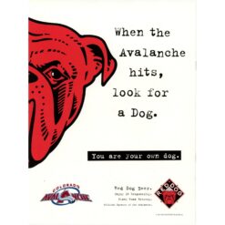 Colorado Avalanche 1996 Stanley Cup Finals vs Florida Panthers Magazine 55526