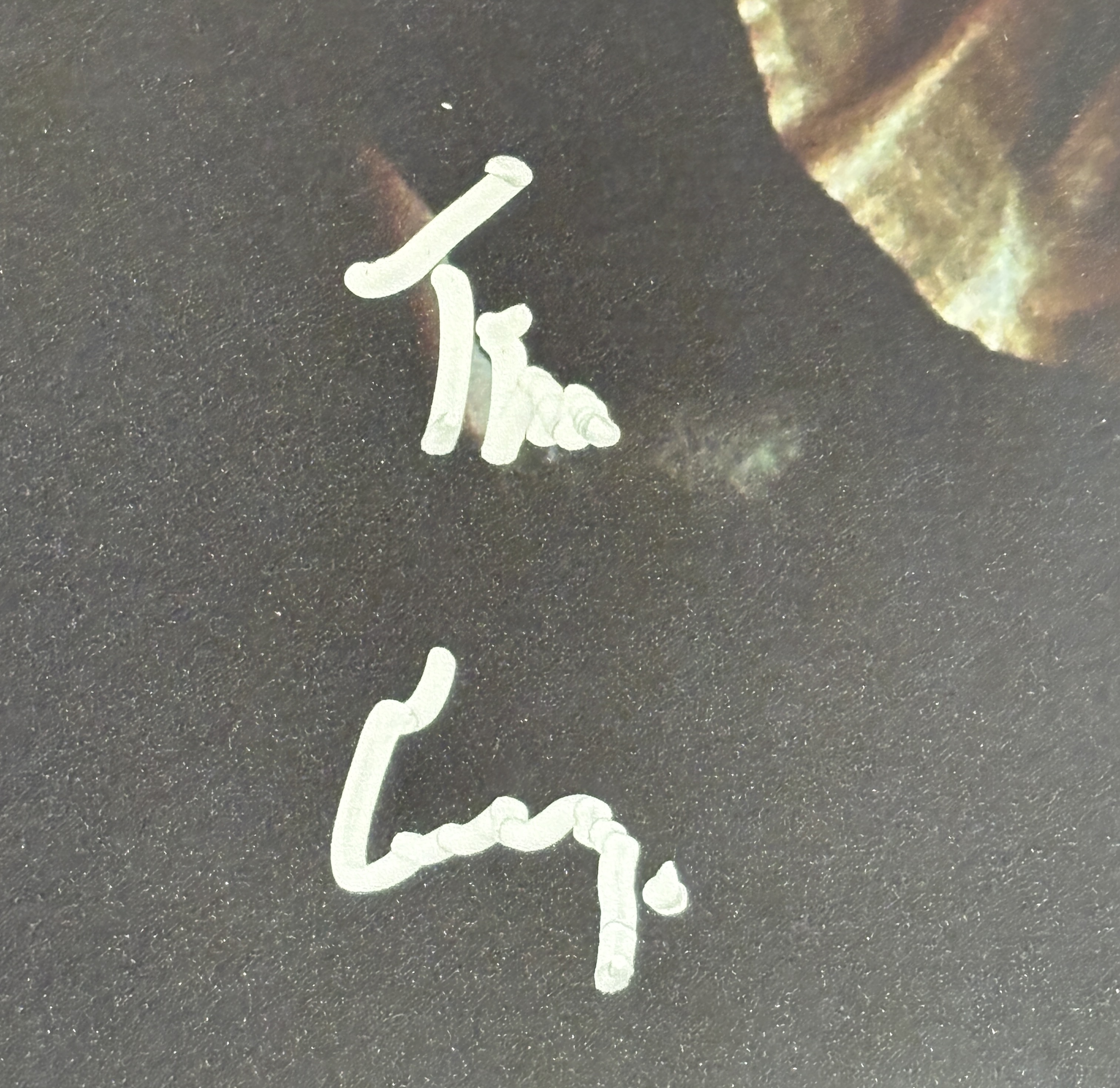 Tim Curry Autographed/Signed IT The Movie 11x14 Photo Beckett 54834