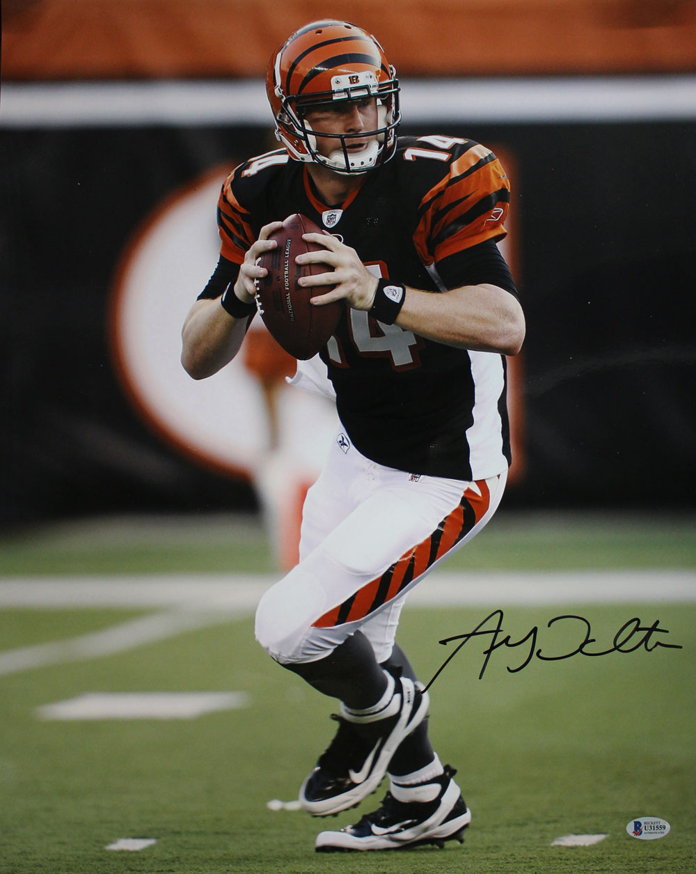 Andy Dalton Autographed/Signed Cincinnati Bengals 16x20 Photo BAS 29068