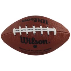 Brett Favre Green Bay Packers 1995 Picture Panels Wilson Logo Football 55744