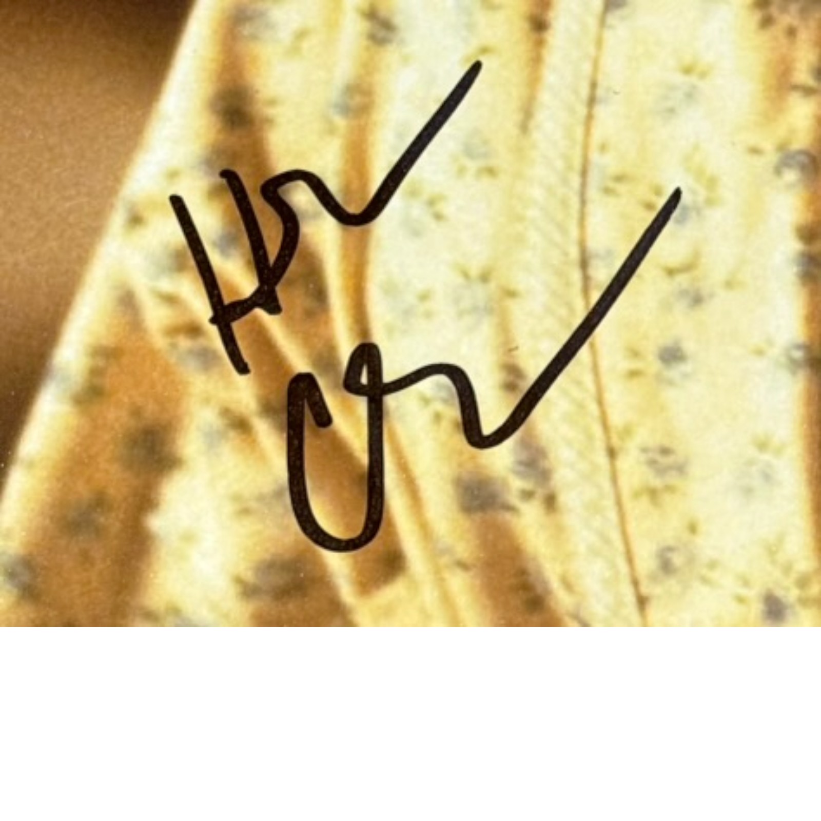 Heather Graham Autographed/Signed Scream 2 11x14 Photo Beckett 54323