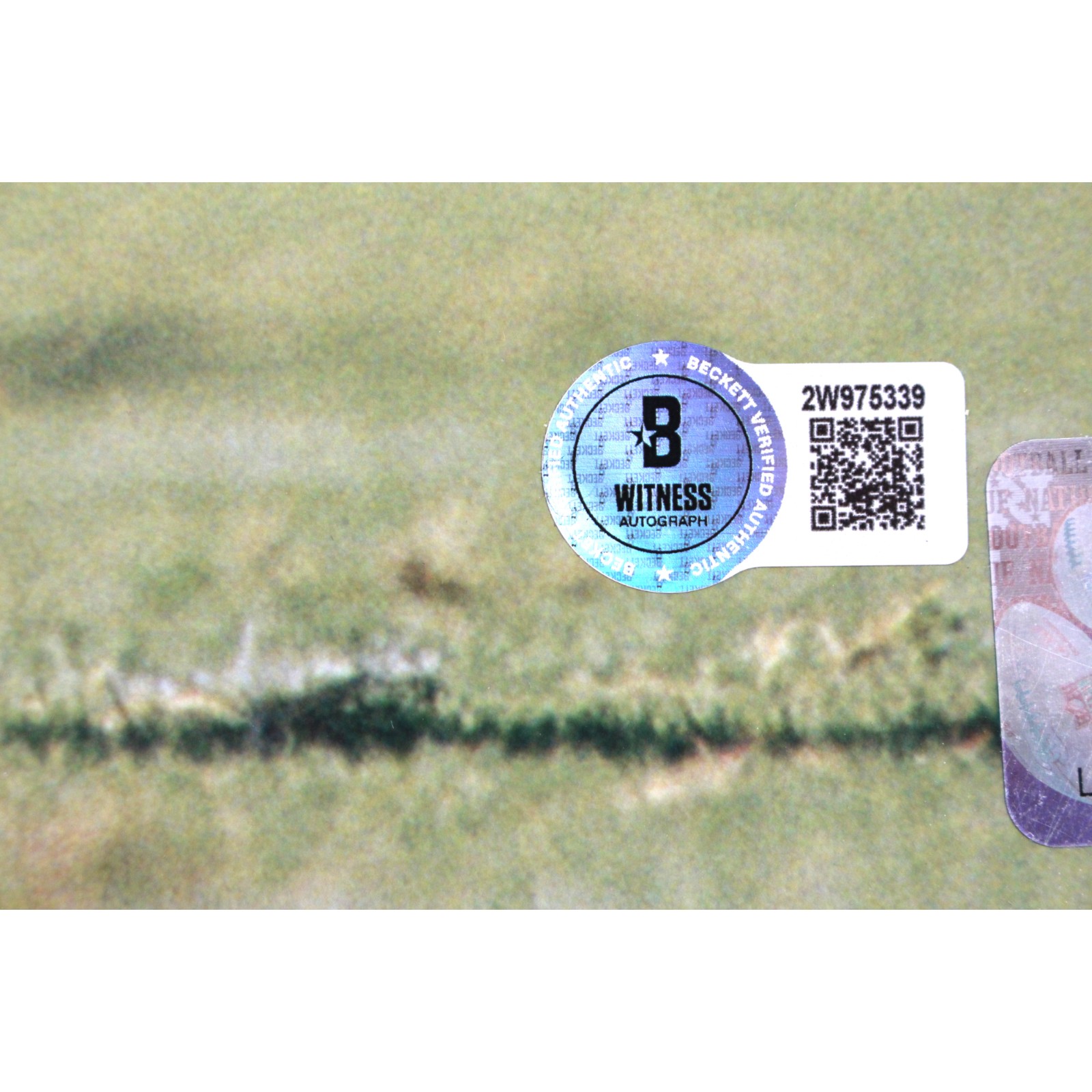 Darrell Green Autographed Washington Redskins 16x20 Photo 2 insc Beckett 51827 3 Darrell Green Autographed Washington Redskins 16x20 Photo 2 insc Beckett 51827