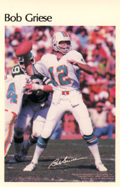 Bob Griese Miami Dolphins Mini Poster 23/50 Marketcom 46200
