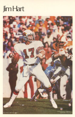 Jim Hart St Louis Cardinals Mini Poster 16/50 Marketcom 46225