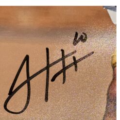 Sam Hartman Autographed Notre Dame Fighting Irish 16x20 Photo Fanatics 54393