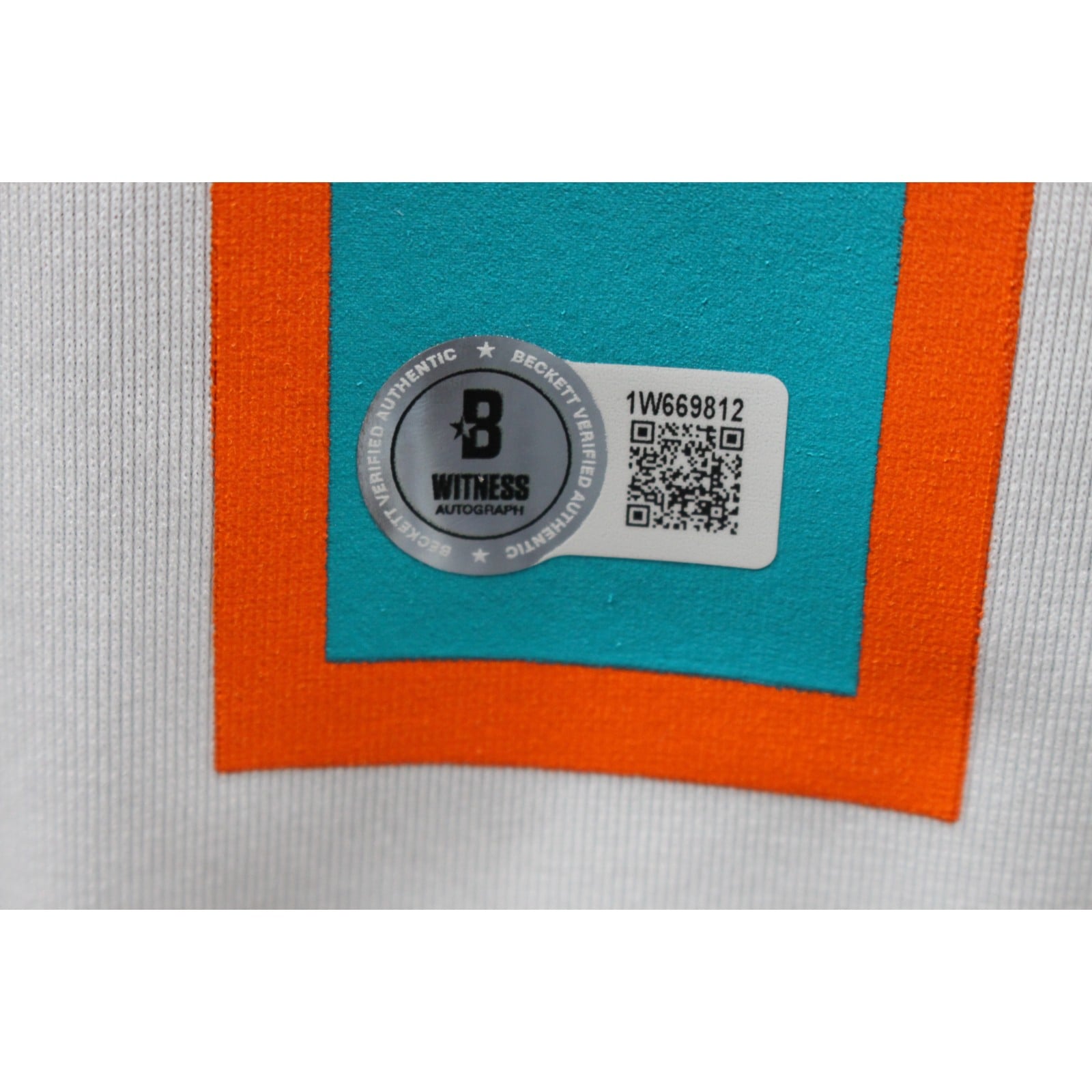 HILLTYREEKJERSEY(NIKEWHITEDOLPHINS44970) (3)