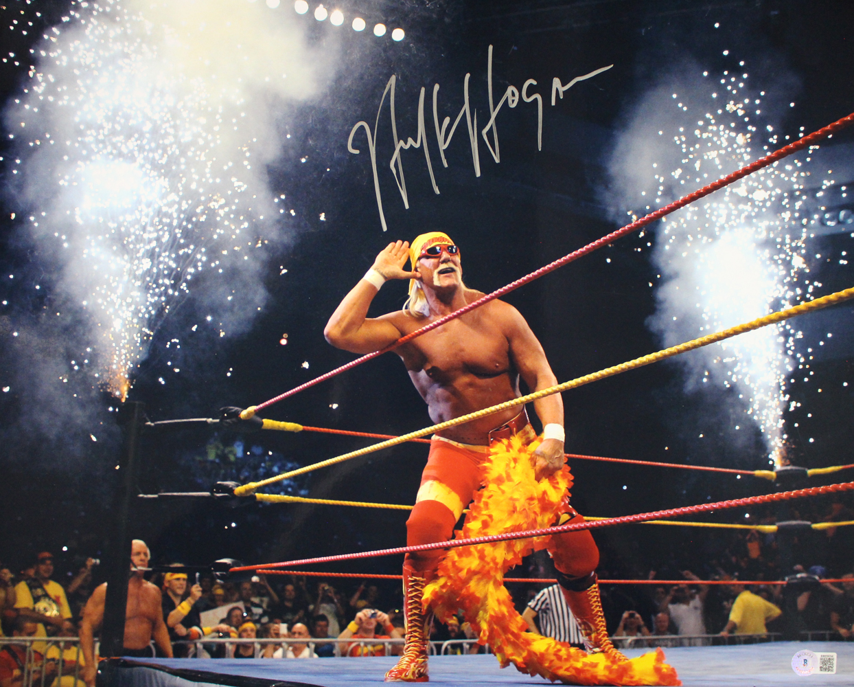 Hulk Hogan Autographed/Signed WCW WWE Wrestling 16x20 Photo BAS