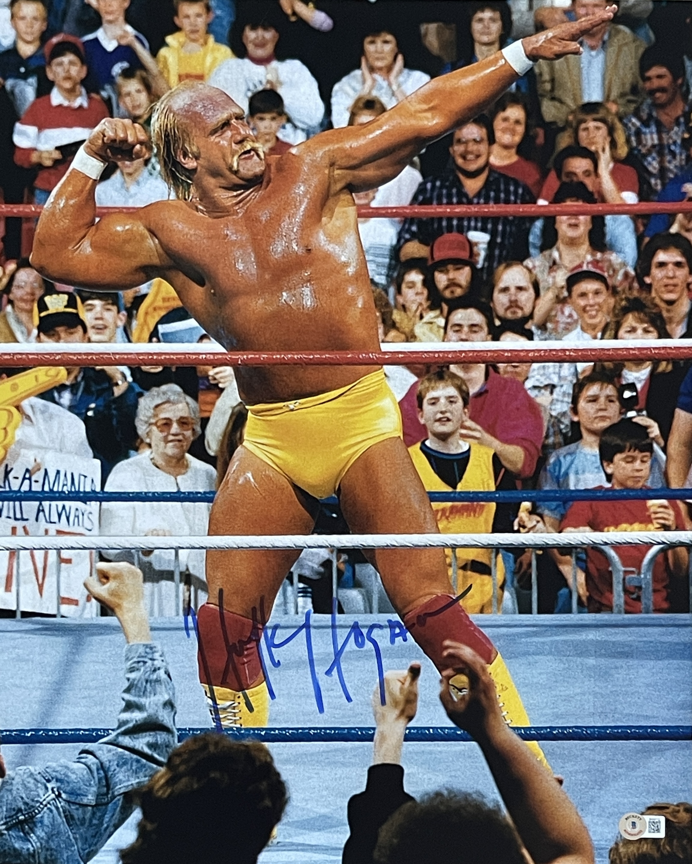 Hulk Hogan Autographed/Signed 16x20 Photo Beckett 