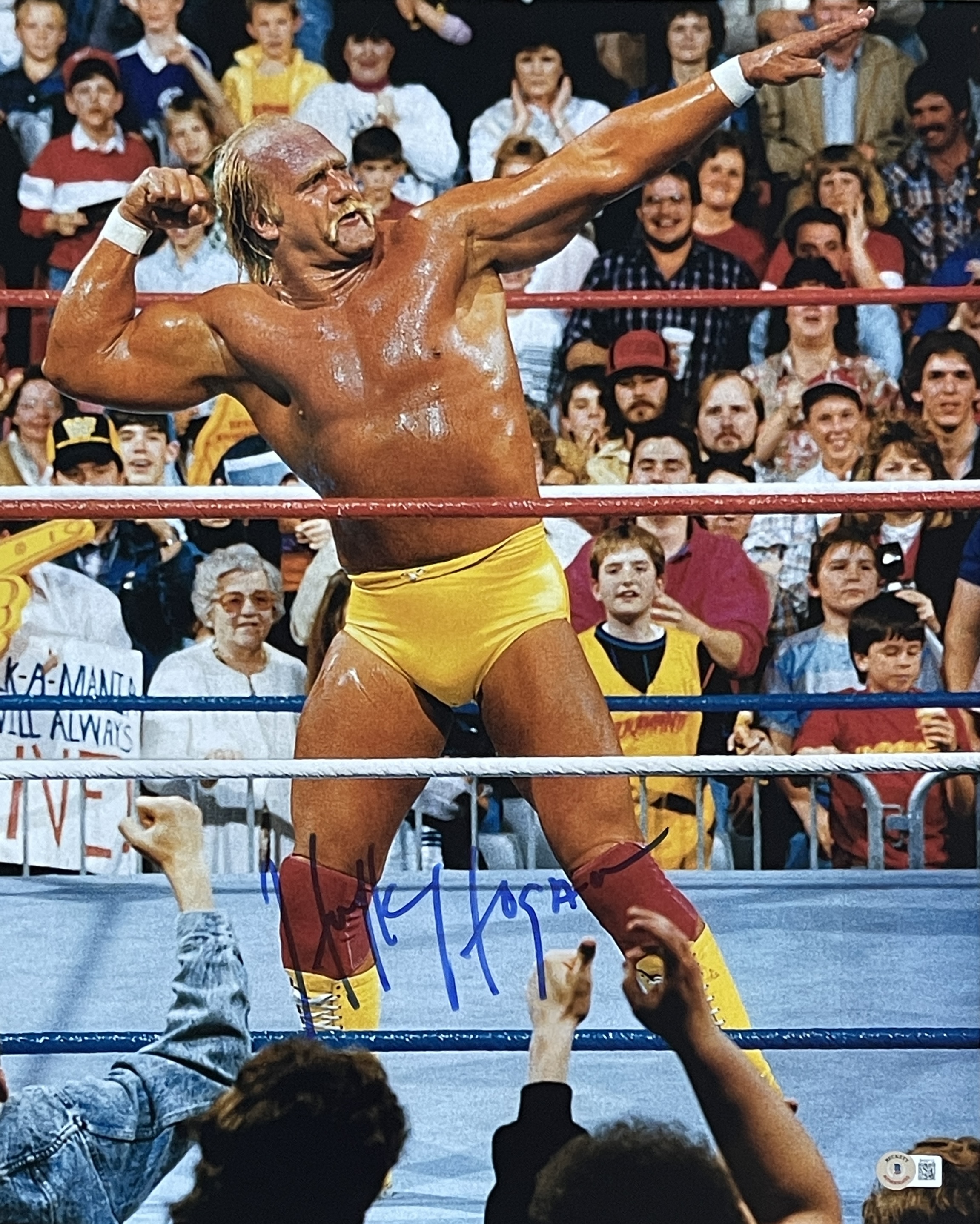 Hulk Hogan Autographed/Signed 16x20 Photo Beckett