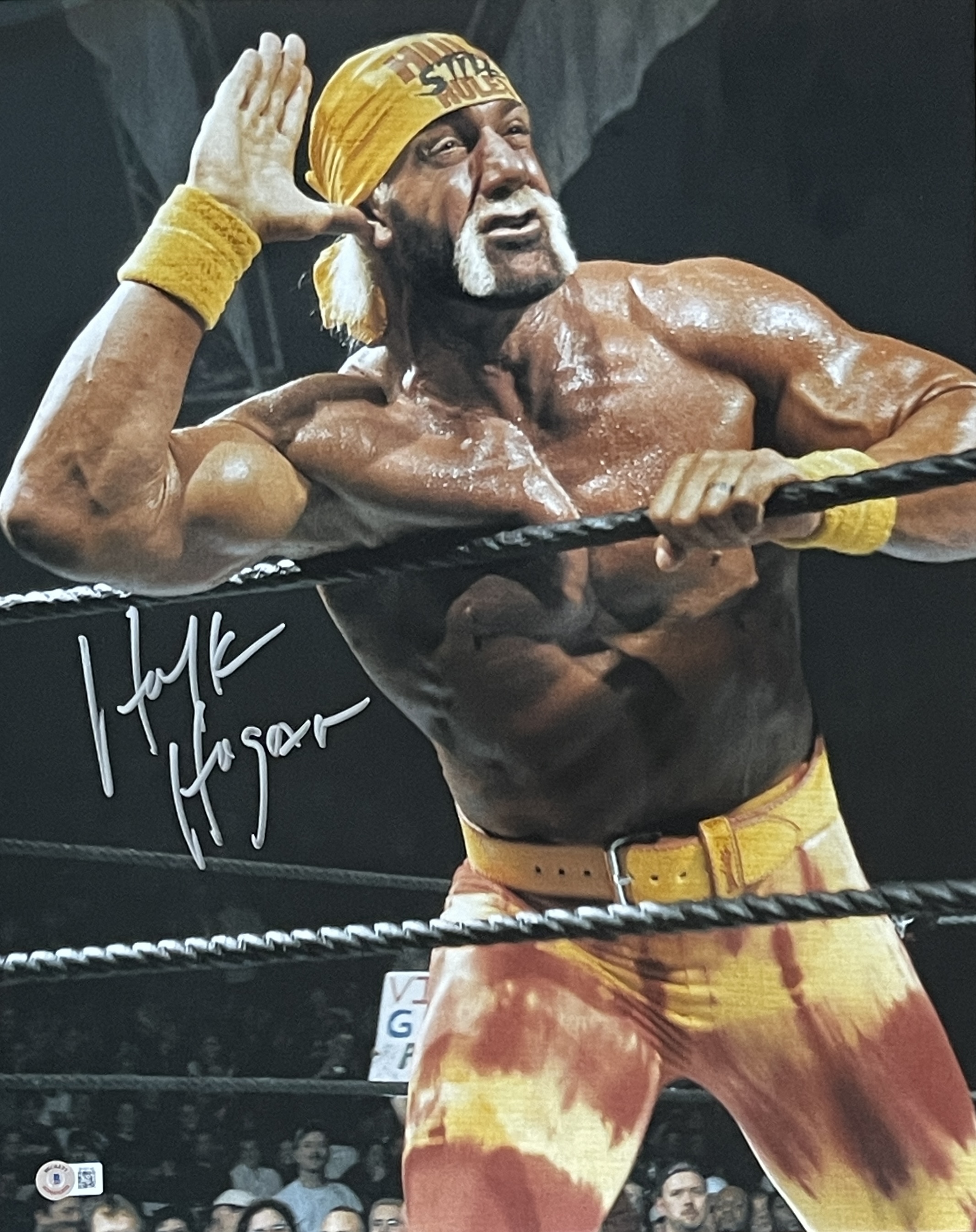 Hulk Hogan Autographed/Signed 16x20 Photo Beckett 