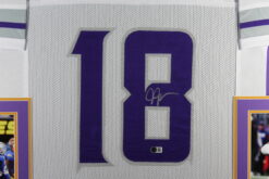 Justin Jefferson Autographed Pro Style Alt XL Framed Jersey 35x43 Beckett 53751